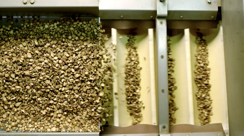 ������ʱ - ������ҳ -- �������ǲ�!